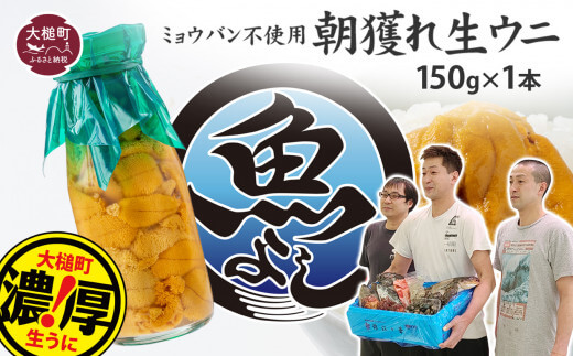 岩手県大槌町 生うに 牛乳瓶 150g×1本の画像