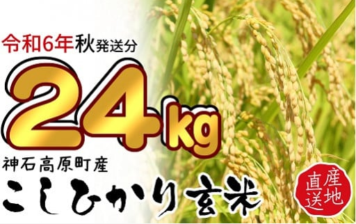 令和6年産コシヒカリ玄米24kg